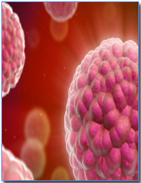 Oncology network HCG plans Rs 100 cr expansion