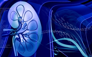 Swap Transplant Brings New Hope to Kidney Patients