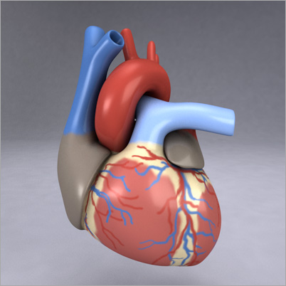 Abbott Launches Bioresorbable Vascular Scaffold