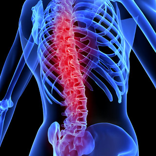 First Indian Educational Website on Spinal Cord Injuries Management Launched