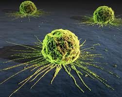 HealthCare Global Brings FFF Technology for Cancer