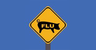 Swine Flu update