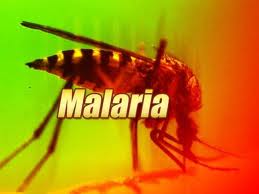 Online Mapping System Helps Fight Malaria