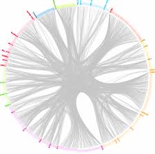 Algorithms find genetic cancer networks