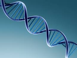 Indian doctors help identify cause of rare genetic disease