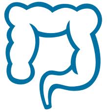 New Smartphone Application Improves Colonoscopy