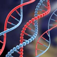Scientists At A*STAR’s Genome Institute Of Singapore Unify, Optimise And Simplify Sequencing Analytics Of Diseases