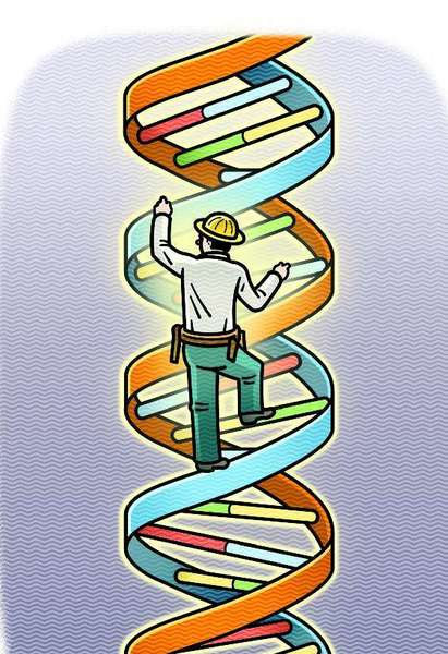 HIV used to cure two genetic disease