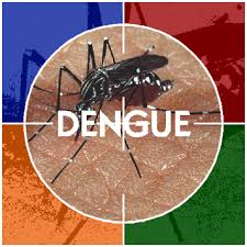 Dengue looms large in Delhi, 14 cases reported