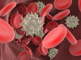 Tumor Cell Vaccination Trial to Promote Anti-Leukemia Responses