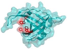 Groundbreaking Discovery Reveals that Untying Knots Promotes Cancer