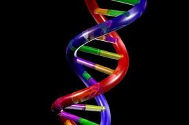 Breakthrough in DNA Mutations will Improve TB and Cancer Treatments