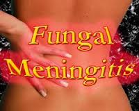 WHO Reinstates Important Drugs Amphotericin B and Flucytosine after Pressure from Leading Expert