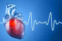Model Reveals Specific Risk Factors Associated With Heart Attack