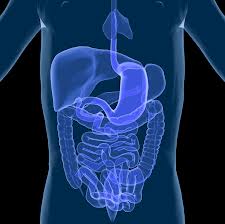 New Report Shows Improvement For Patients with IBD Following Biological Therapy