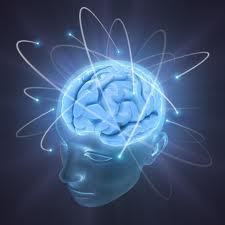 Multisensory Integration is Vital for Sensory Processing