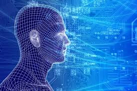 K computer enables largest neuronal network simulation
