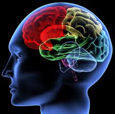Brain Maps to Benefit Epileptic Surgery