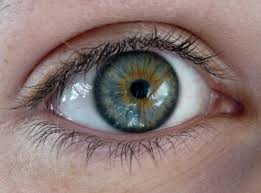 Your Eyes May be a Window to Your Stroke Risk