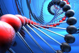 Researchers Develop Specific Tests to Identify Cancer Biomarkers in Dermatomyositis