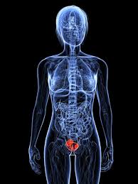 3 out of every 4 cases of Bladder Cancer Display Mutations in the Same Gene