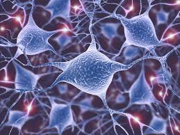 A Step Towards Development of Drugs for Neurodegenerative Diseases
