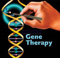 Paving Way for Cancer Therapies Through Genetic Function Discovered