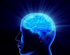 New Brain Area for Anxiety