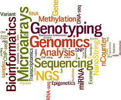 As genomic medicine expands, computational method dramatically speeds up estimates of gene expression