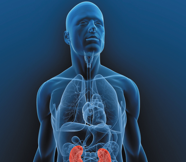 New Era in Urology