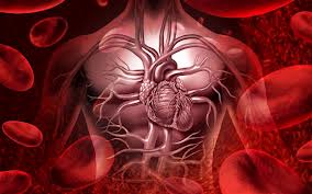 EHealth: The emerging era in cardiovascular disease prevention