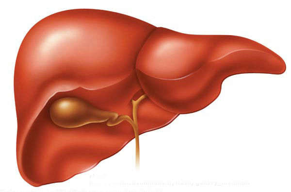 Non-invasive tools for liver fibrosis: hues and hopes