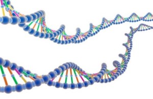 Protein DNA_1209171019F2975B