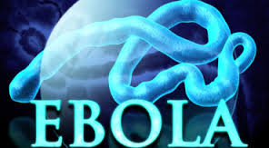 Ebola deaths in West Africa crosses 3,000, says WHO