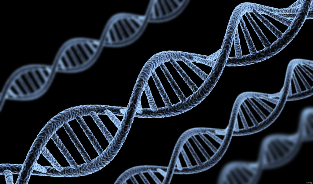 DNA spiral model on black background (done in 3d)