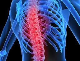 Postmenopausal women more prone to Osteoporosis