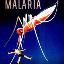 New compound can destroy malaria fast