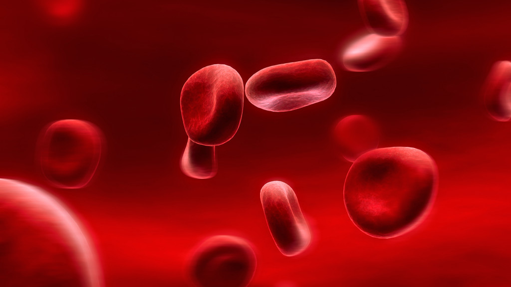 Blood bank network to be digitised, says Health Minister