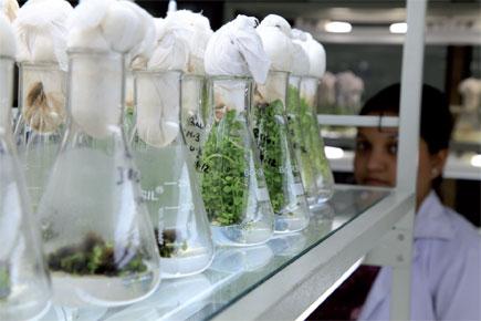Financial assistance for Ayurvedic Clinical Research Centre