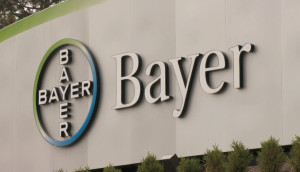bayer2409