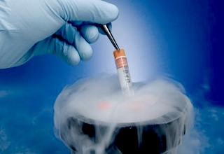 Singapore to Open Public Stem Cell Bank