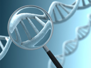 A magnifying glass focussing on a section of a DNA strand. Very high resolution 3D render.
