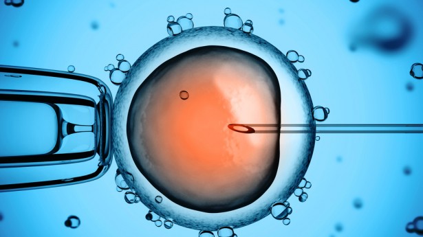 ISIC to Start IVF Services for Spinal Injury Patients
