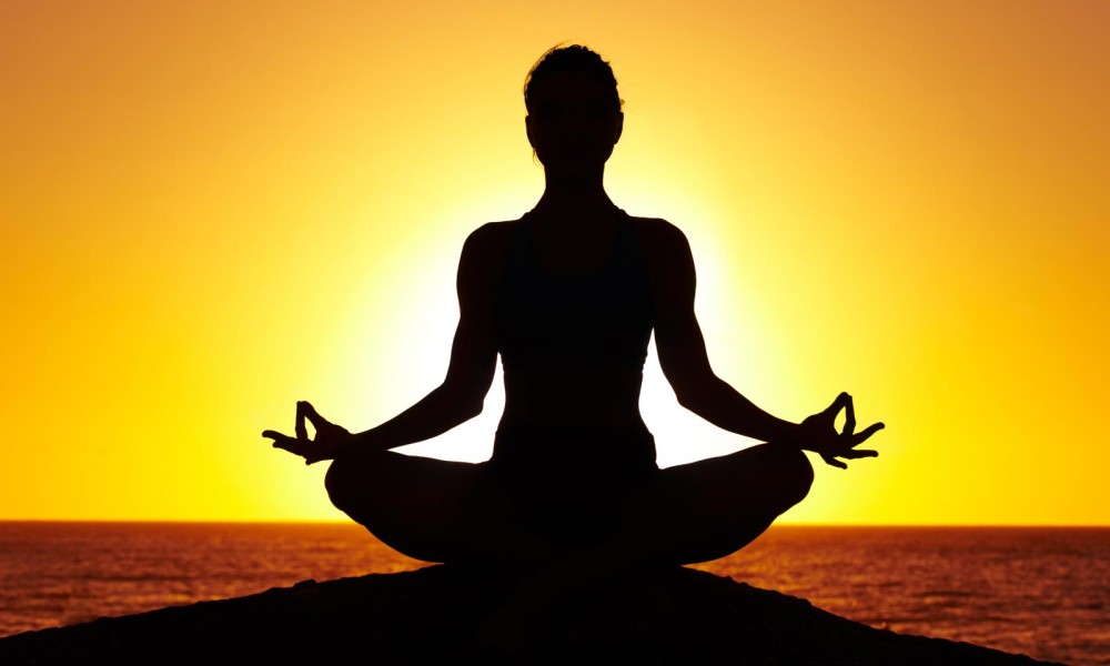 AYUSH Minister inaugurates three-day curtain raiser International Yoga Fest