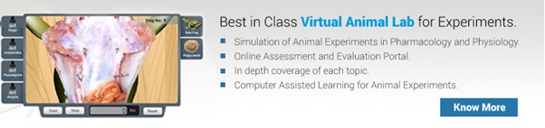 Animal Simulator