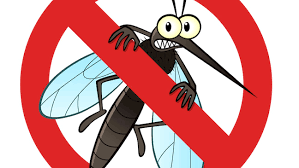 Say No To Dengue