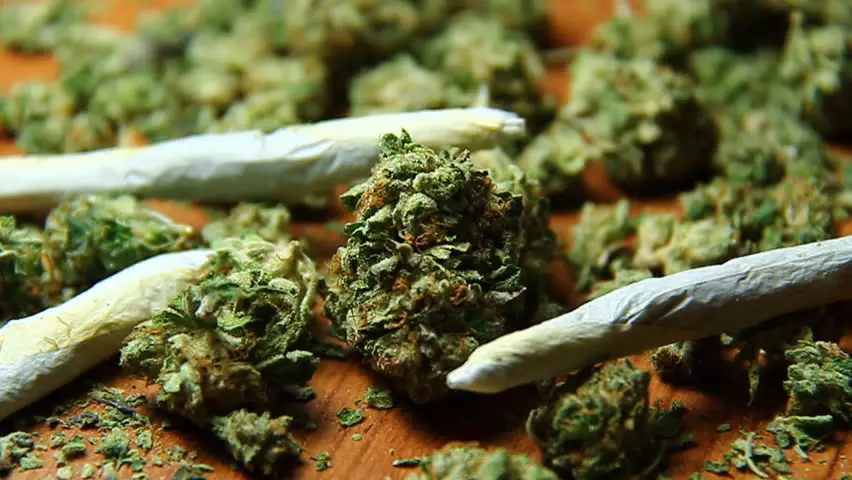 The BMJ calls for doctors to lead war against drugs