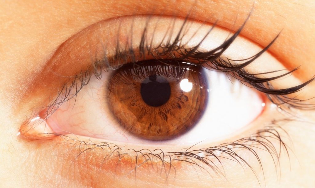 Ozone Ayurvedics launches herbal solution for dry eyes
