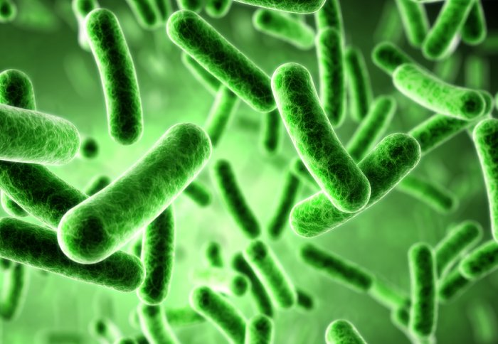 Scientists produce cancer drugs in bacterial cell factories