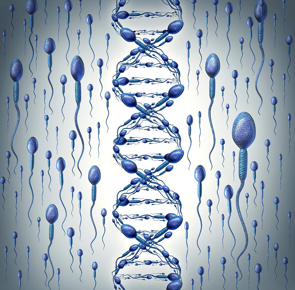 Five factors that affect your sperm count